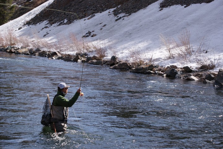 Cold Weather Fly Fishing in Colorado 