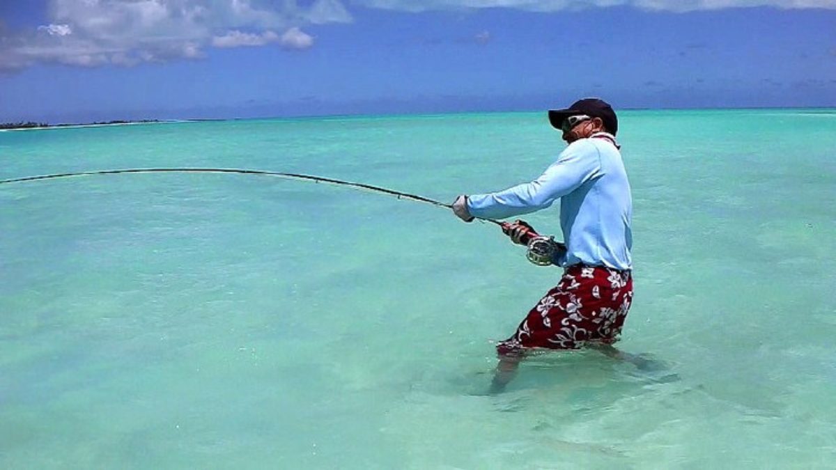 CHOOSING A SALT WATER FLY FISHING ROD Choosing a saltwater fly fishing rod.