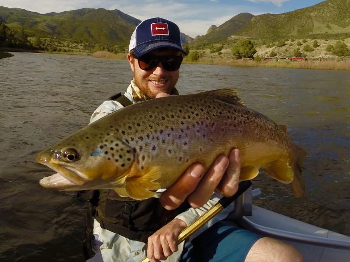 Colorado River Gold Medal Fly Fishing 