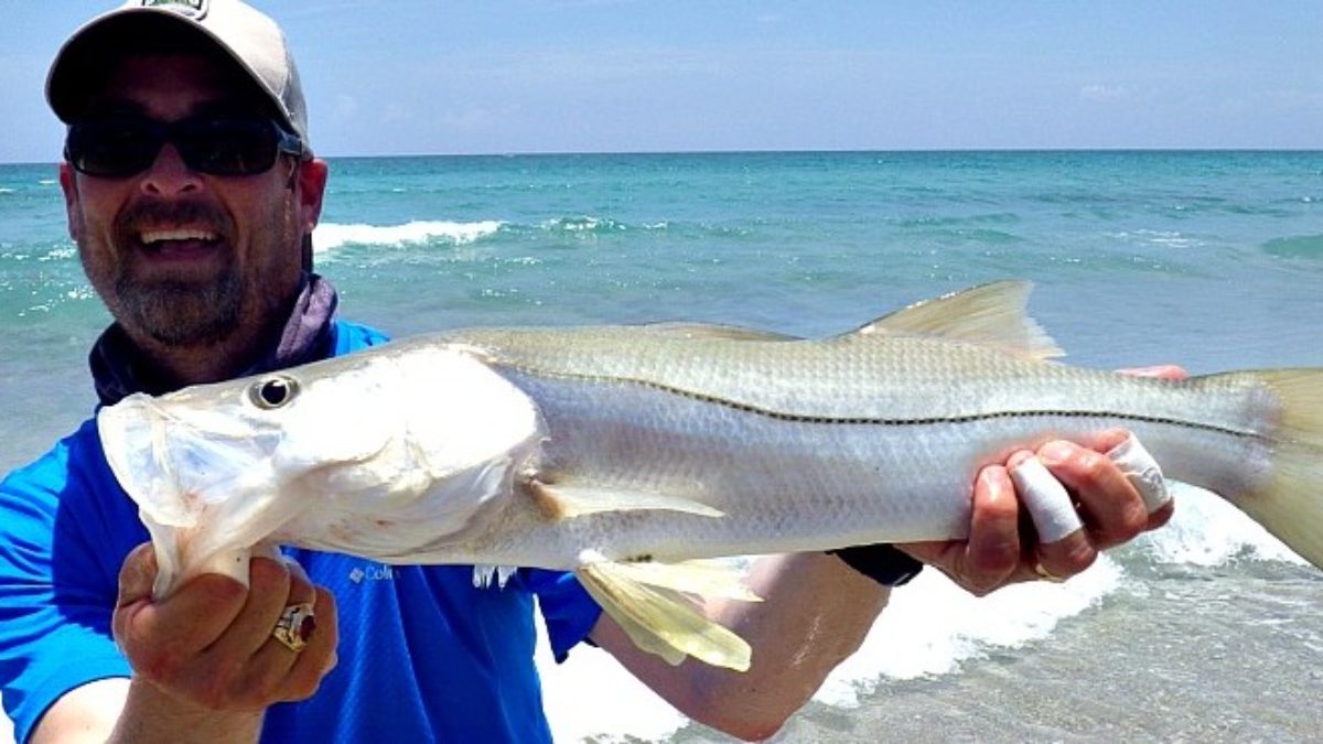 Saltwater Fly Fishing  A Focus on Snook 