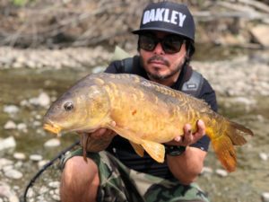 Five Reasons to Fly Fish for Carp 