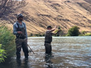 Deschutes Salmonfly Hatch Report — Fly Fishing Guides