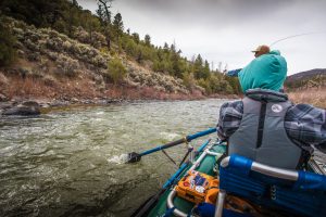 6 Streamer Fishing Hacks to Catch More Fish This Fall 
