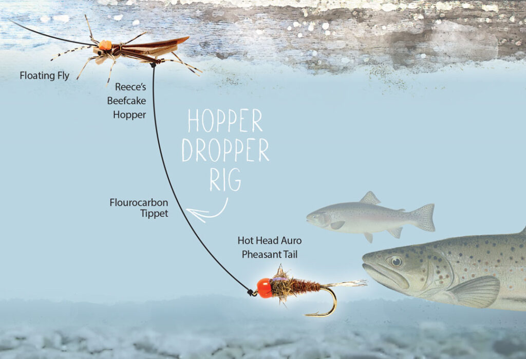 Hopper Dropper Tips and Techniques 